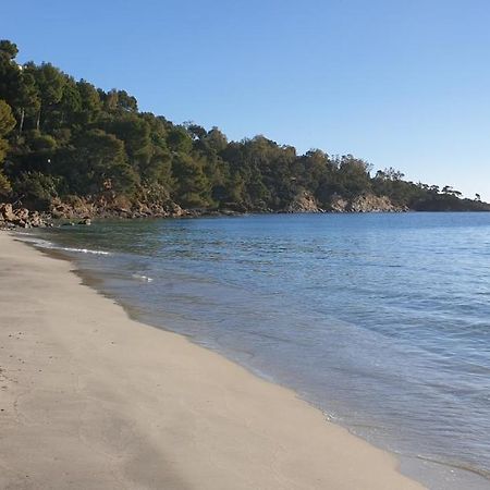 Chambre Independante Avec Jardin Privatif La Londe-les-Maures Zewnętrze zdjęcie