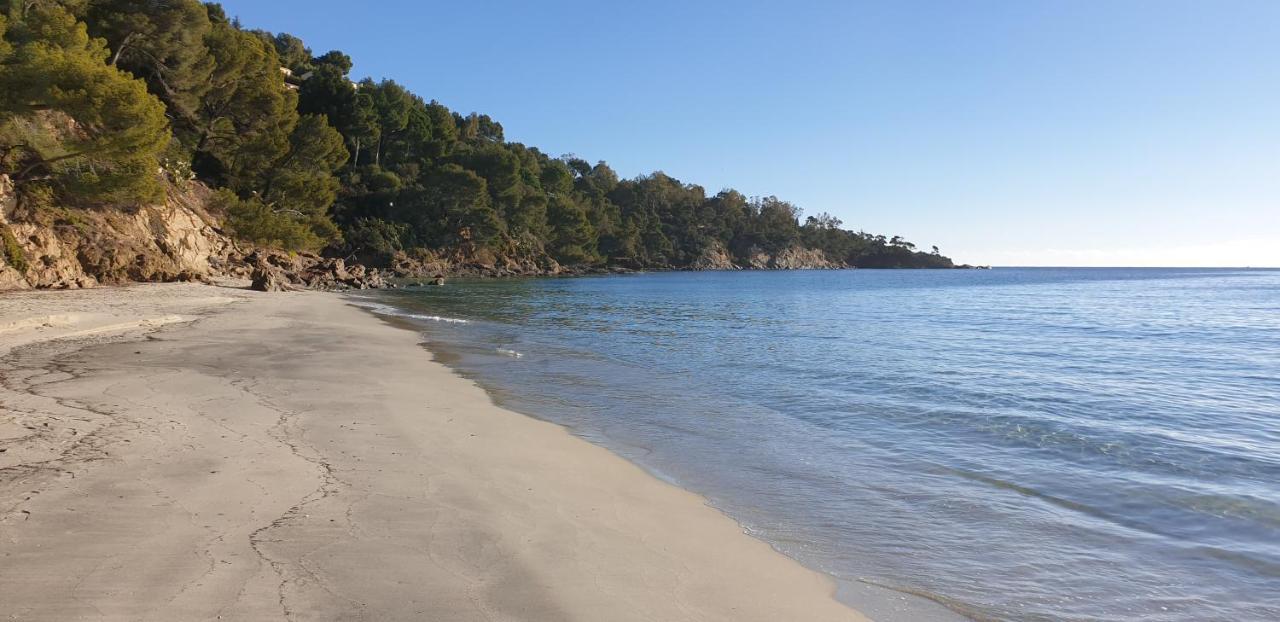 Chambre Independante Avec Jardin Privatif La Londe-les-Maures Zewnętrze zdjęcie