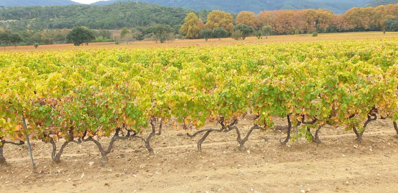 Chambre Independante Avec Jardin Privatif La Londe-les-Maures Zewnętrze zdjęcie